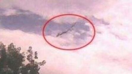 盘点中国十大真龙现身事件 科学家表示真龙或存在