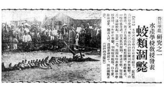 盘点中国十大真龙现身事件 科学家表示真龙或存在