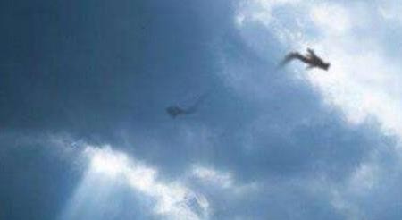 盘点中国十大真龙现身事件 科学家表示真龙或存在