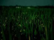 古代志怪故事书籍推荐