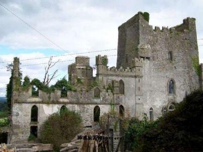 利普城堡（爱尔兰）