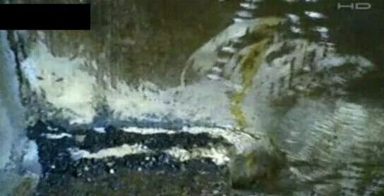 香港温莎公爵大厦